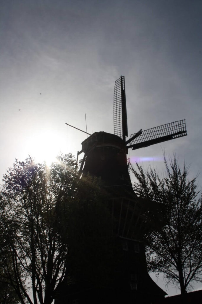 Amsterdam - Croisière - Moulin à vent