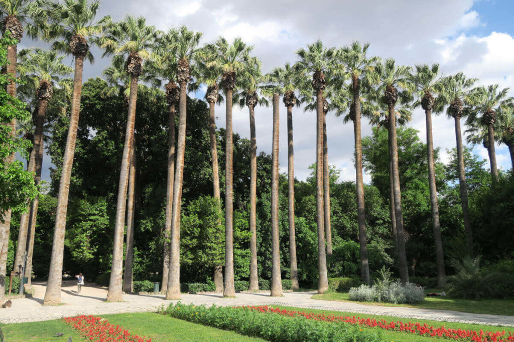 Athènes - Jardin national