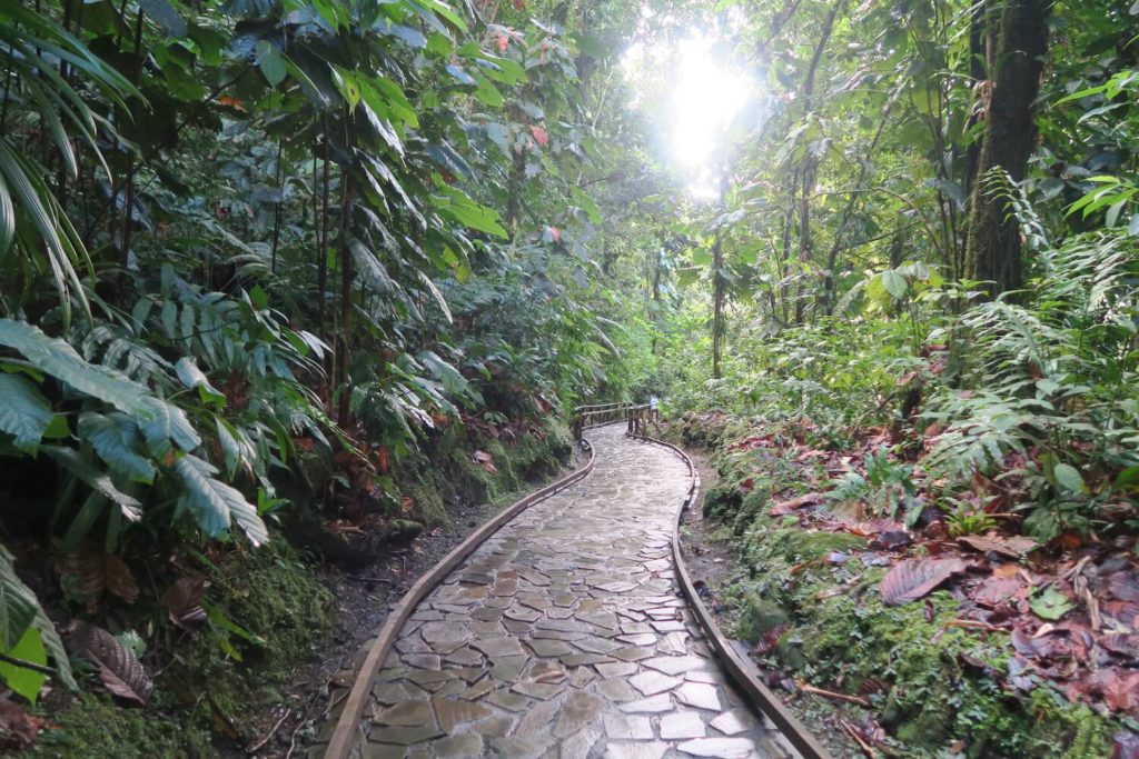 Guadeloupe - Cascade aux écrevisses