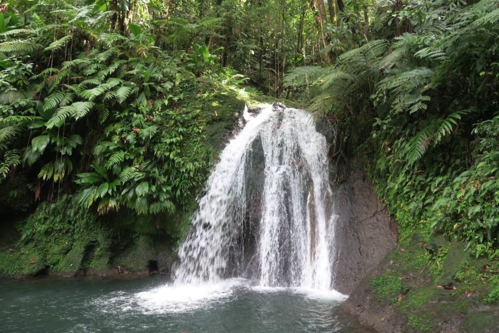 Guadeloupe - Cascade aux écrevisses