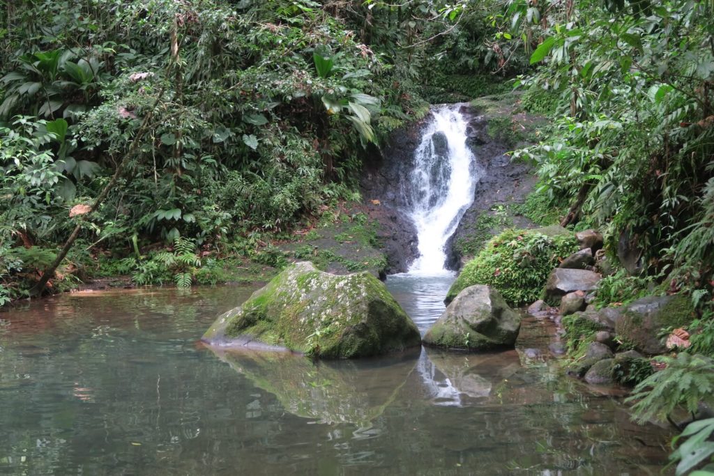 Guadeloupe - Cascade aux écrevisses