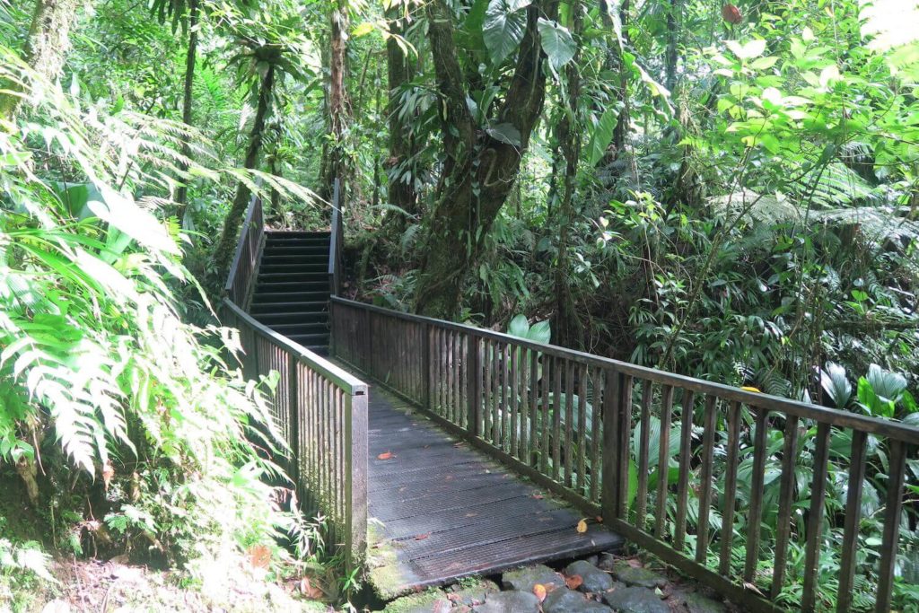 Guadeloupe - Chemin de randonnée des chutes du Carbet