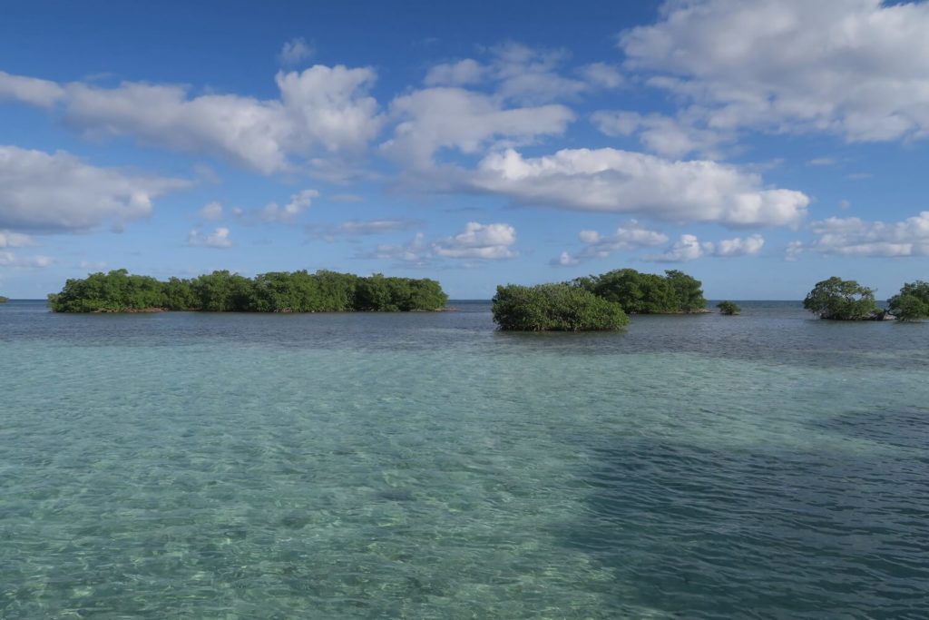 Guadeloupe - Grand cul-de-sac marin