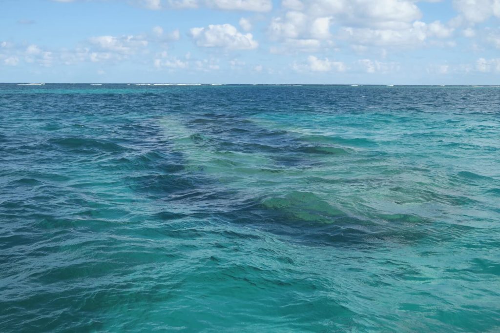 Guadeloupe - Grand cul-de-sac marin