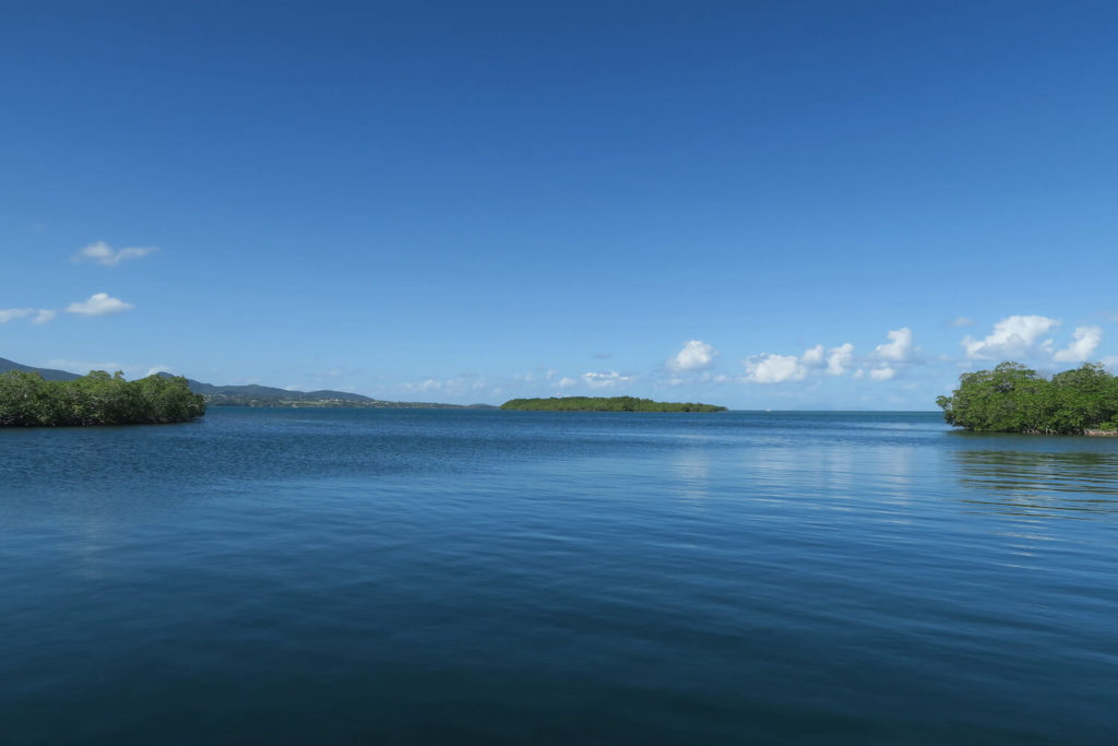 Guadeloupe - Grand cul-de-sac marin