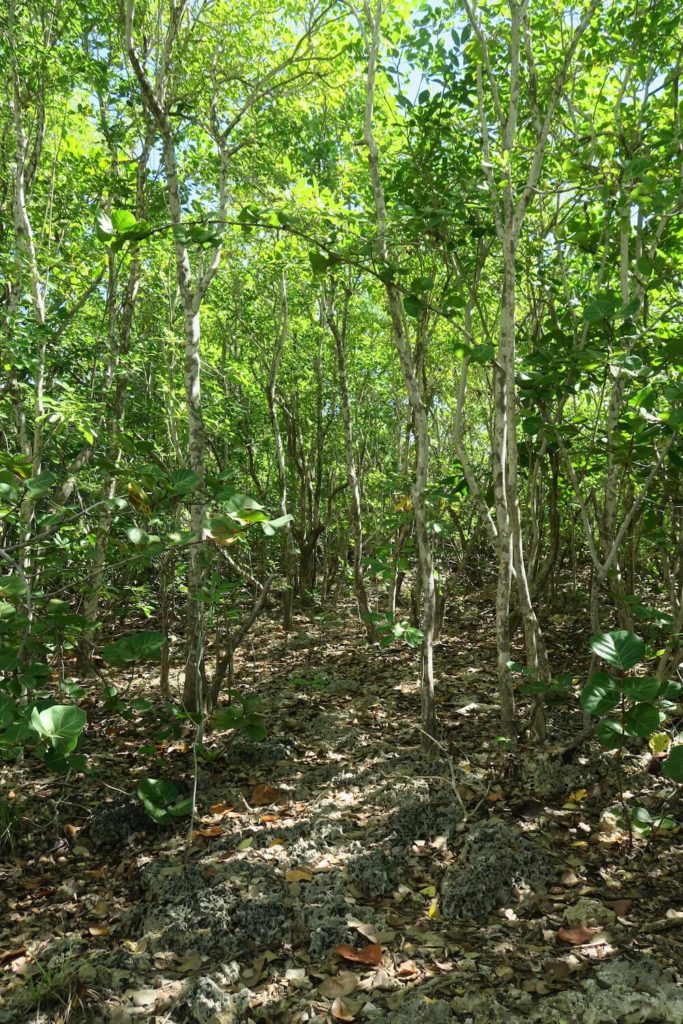 Guadeloupe - Ilet du Gosier