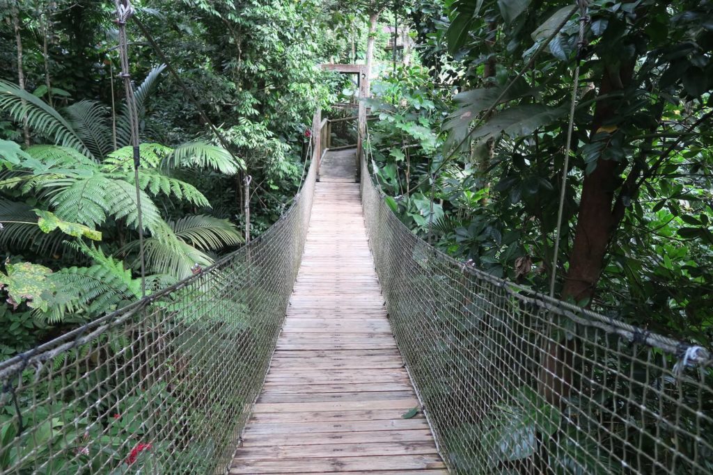 A la découverte du parc des mamelles
