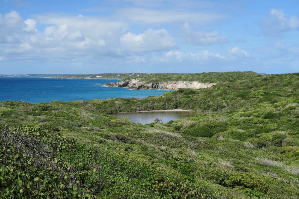 Guadeloupe - Pointe des châteaux