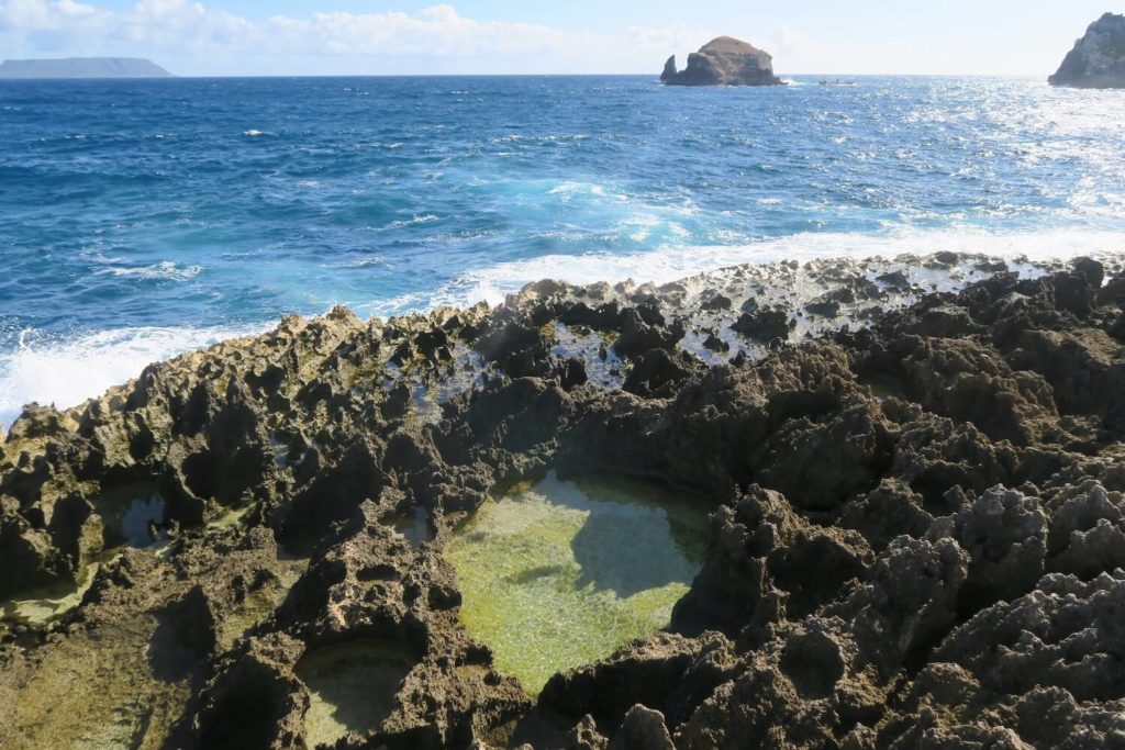 Guadeloupe - Salines à la pointe des châteaux