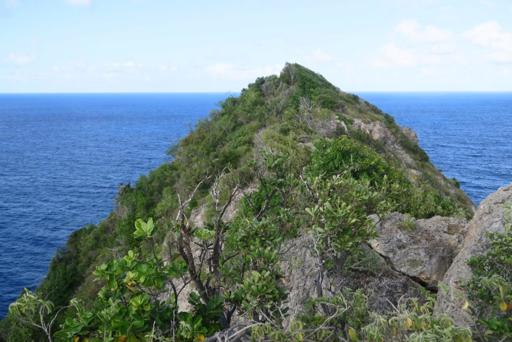 Guadeloupe - Pointe de la Grande Vigie