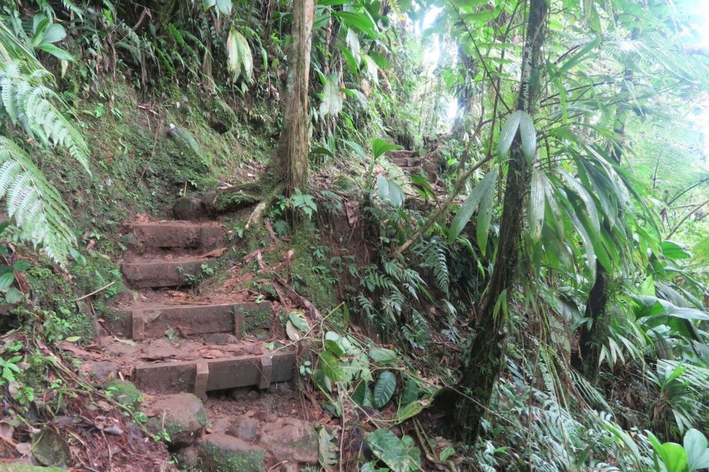 Guadeloupe - Chemin de randonnée des chutes du Carbet