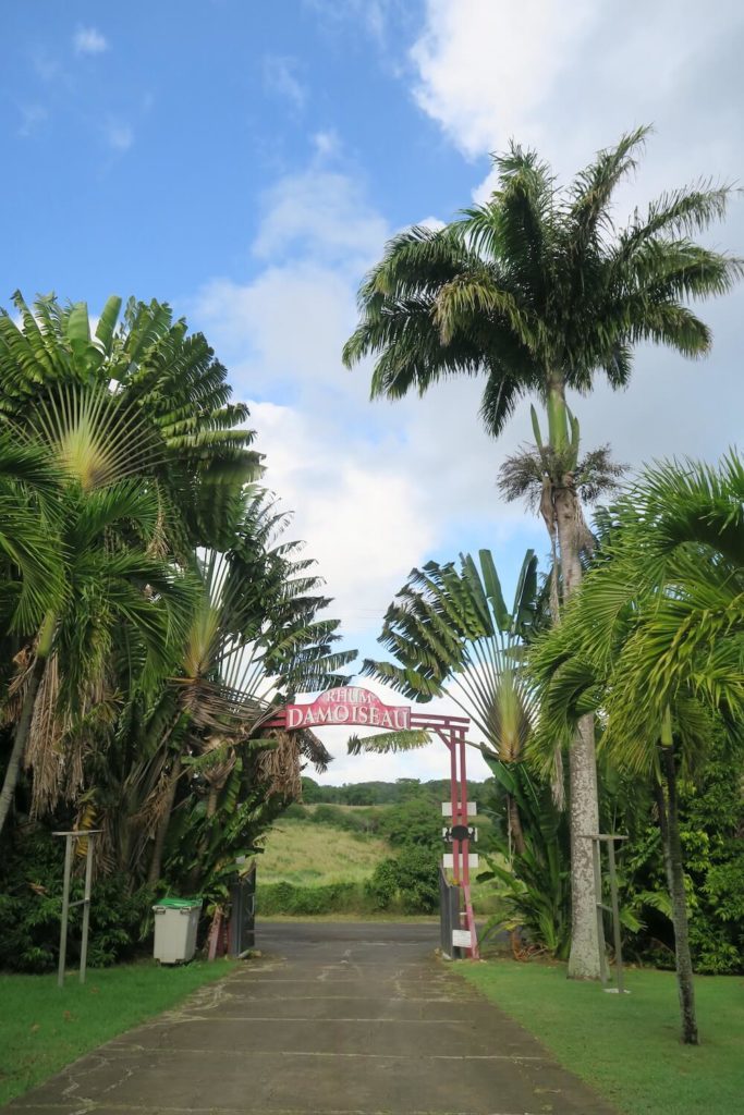 Guadeloupe - Rhumerie Damoiseau