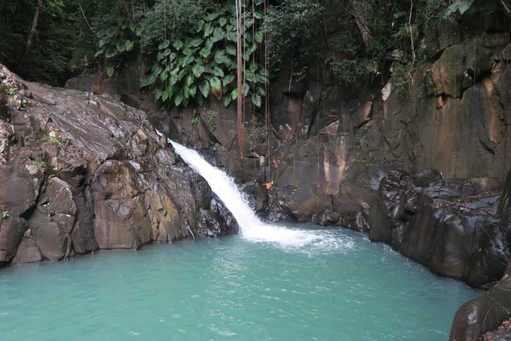 Guadeloupe - Saut de l'Acomat