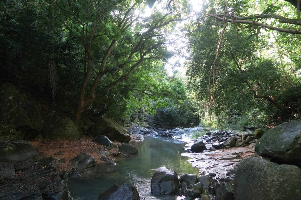 Guadeloupe - Saut de l'Acomat