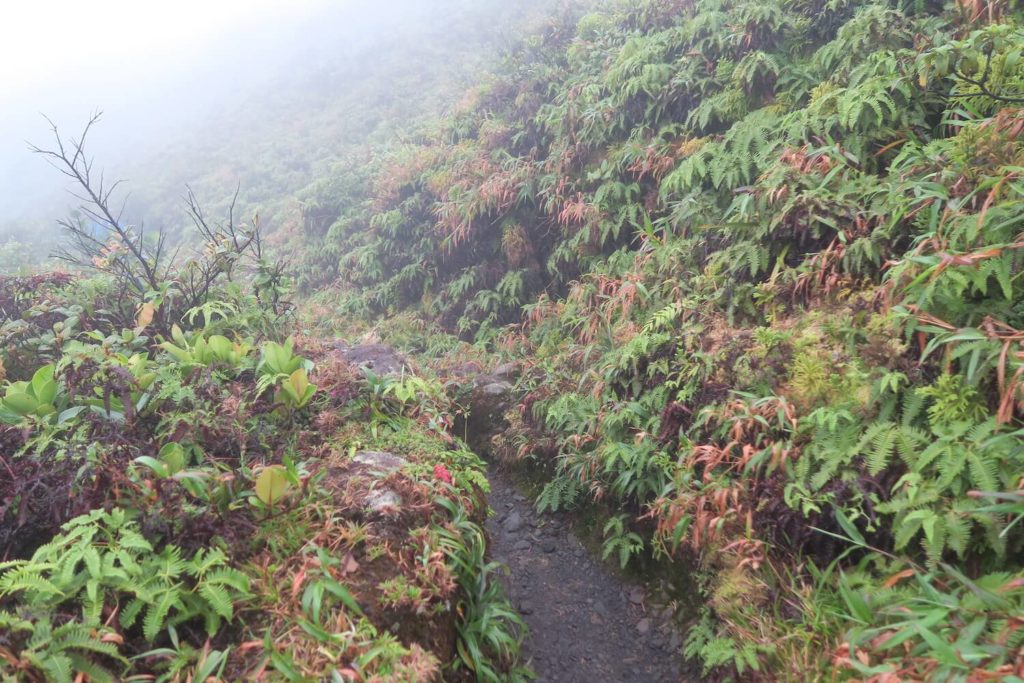 Guadeloupe - La Soufrière