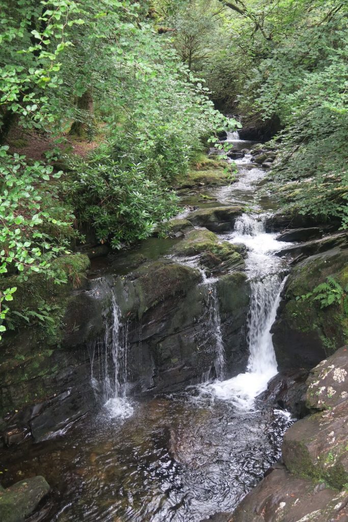 Irlande - Anneau du Kerry - Parc national de Killarney