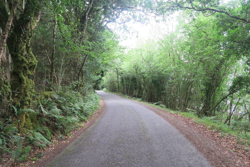 Irlande - Lough Corrib