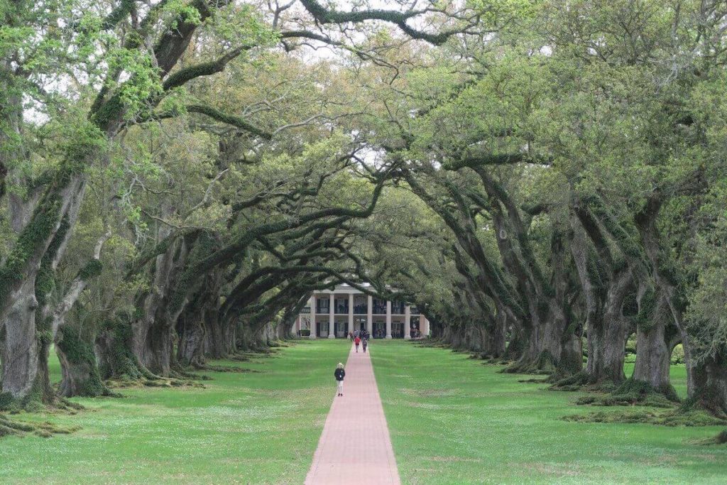 ♥ La majestueuse Oak Alley plantation