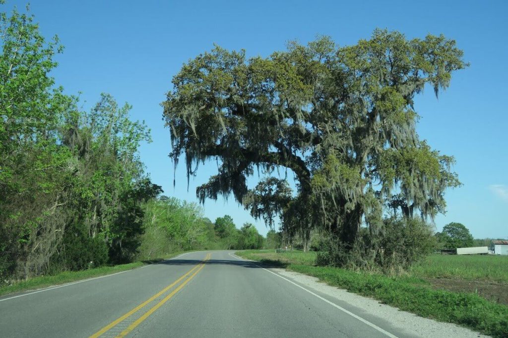 4 jours de road trip en Louisiane