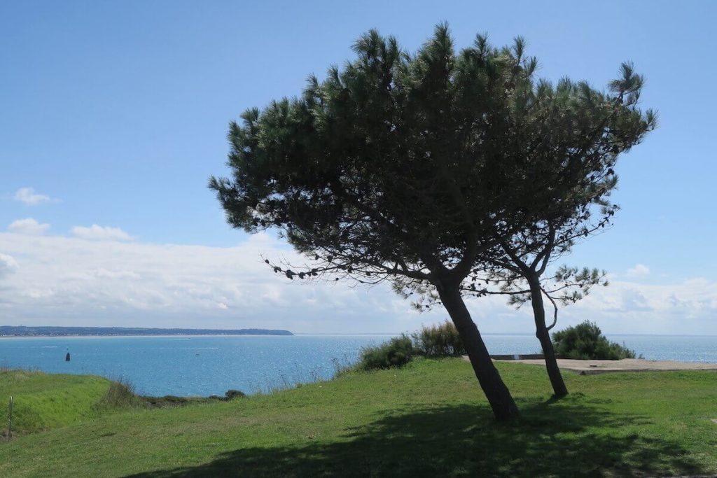 Normandie - La vue depuis le Cap Lihou